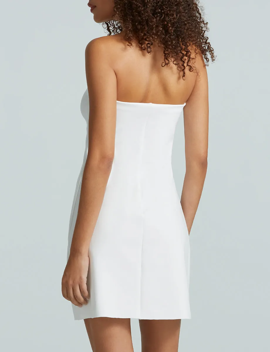Neoprene Mini Tube Dress